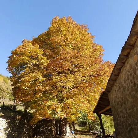 Chambres D'hotes De Theolier Bed & Breakfast Pailhares